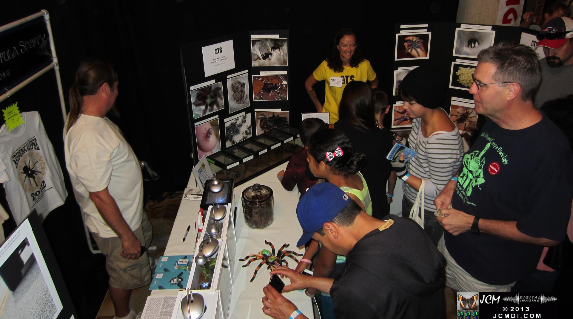 LANHM Bug Fair 2013 crowds and displays